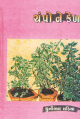 GTVI Image 42 Champo Ane Kel.png