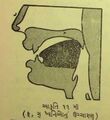 Thumbnail for version as of 03:07, 12 June 2026
