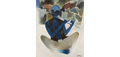 Thumbnail for version as of 03:09, 1 July 2026