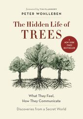 The Hidden Life of Trees-title.jpg