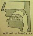 Thumbnail for version as of 03:07, 12 June 2026