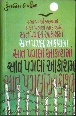 Saat Paglan Aakashman F.jpg