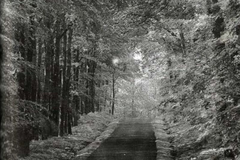 File:Sonanam Vruksho - Image 16.jpg