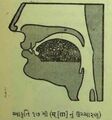 Thumbnail for version as of 03:07, 12 June 2026