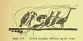 Thumbnail for version as of 11:04, 14 June 2026
