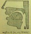 Thumbnail for version as of 03:07, 12 June 2026