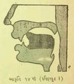 Thumbnail for version as of 03:07, 12 June 2026