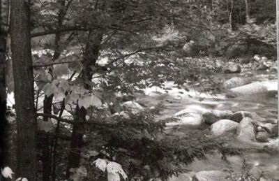 Sonanam Vruksho - Image 13.jpg