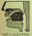 Thumbnail for version as of 03:07, 12 June 2026