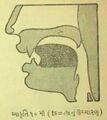 Thumbnail for version as of 03:07, 12 June 2026