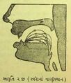 Thumbnail for version as of 03:07, 12 June 2026