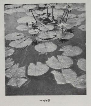 Sahitya Pallav - 3 Image 3.jpg