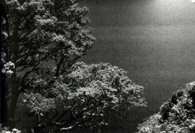 Sonanam Vruksho - Image 19.jpg