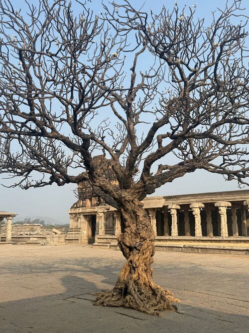 Sanchayan-11 Image 29.jpg