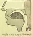 Thumbnail for version as of 03:07, 12 June 2026