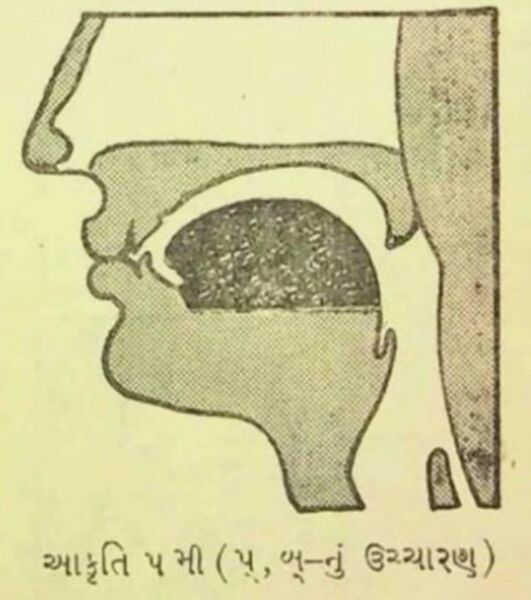 File:BV Image 5.jpg